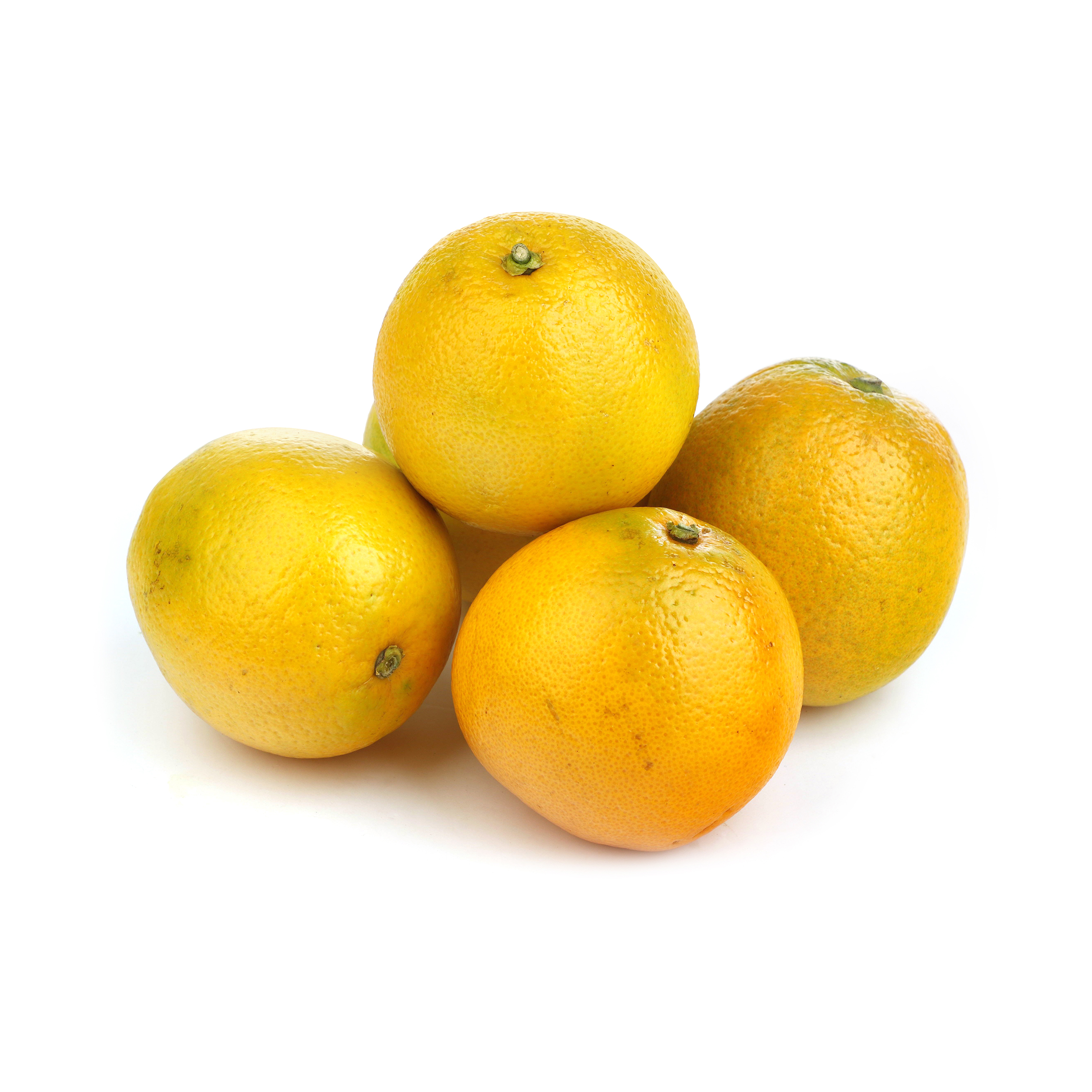 مشخصات، قیمت و خرید پرتقال شمال میوری - 1 کیلوگرم | دیجی‌کالا